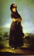 Francisco Jose de Goya Portrait of Mariana Waldstein. china oil painting artist